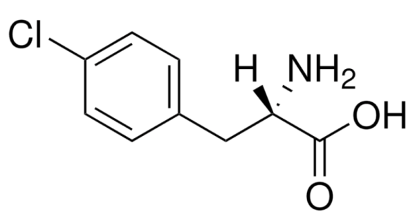 4-氯-L-苯基丙氨酸,4-Chloro-L-phenylalanine