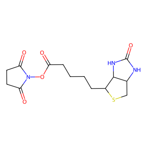 D-生物素 N-羟基琥珀酰亚胺酯,D-Biotin N-Succinimidyl Ester