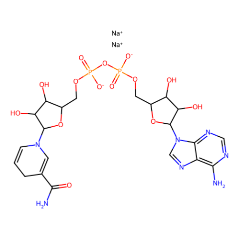 还原型辅酶I 二钠(β-NADH),β-NADH
