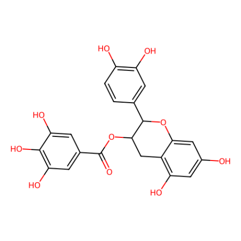 (-)-表兒茶素沒食子酸酯,(-)-Epicatechin gallate