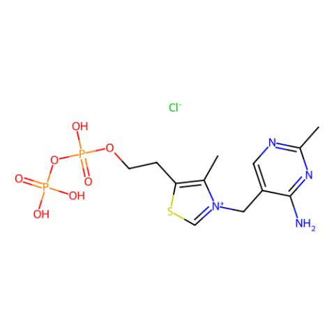 焦磷酸硫胺素,Thiamine pyrophosphate