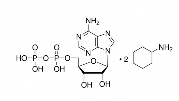 腺苷-5′-二磷酸 環(huán)己銨鹽,Adenosine 5′-diphosphate  cyclohexylammonium salt