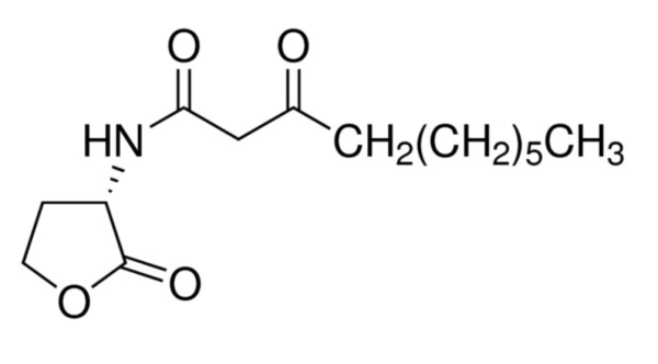 N-(3-氧代癸酰基)-L-高丝氨酸内酯,N-(3-Oxodecanoyl)-L-homoserine lactone