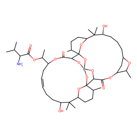 Boromycin,Boromycin