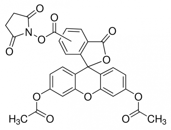 5(6)-羧基二乙酸荧光素琥珀酰亚胺酯（CFDA）,5(6)-Carboxyfluorescein diacetate, succinimidyl ester（CFDA）