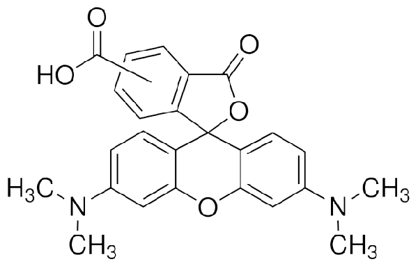 5(6)-羧基四甲基罗丹明,5(6)-Carboxytetramethylrhodamine