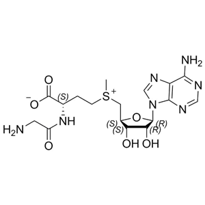 丁二磺酸腺苷蛋氨酸杂质II；5'-[[(3R)-3-[(2-氨基乙酰基)氨基]-3-羧丙基]甲基锍]-5'-脱氧腺苷