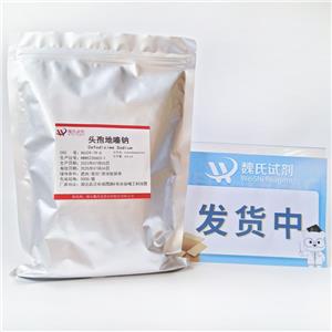 頭孢地嗪鈉,Cefodizime sodium