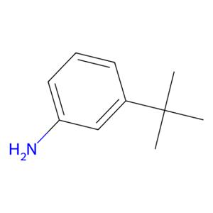 aladdin 阿拉丁 T161453 3-叔丁苯胺 5369-19-7 >98.0%(GC)(T)