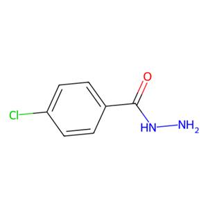 aladdin 阿拉丁 C153811 4-氯苯甲酰肼 536-40-3 >98.0%(GC)(T)