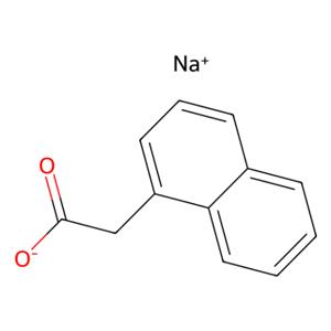aladdin 阿拉丁 N110308 1-萘乙酸钠 61-31-4 99%