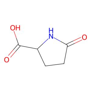 aladdin 阿拉丁 P106219 DL-焦谷氨酸 149-87-1 98%