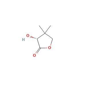 aladdin 阿拉丁 P122332 D-(-)-泛酰内酯 599-04-2 99%
