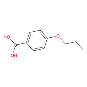 aladdin 阿拉丁 P115548 4-正丙氧基苯硼酸 186497-67-6 97%