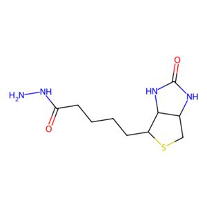 aladdin 阿拉丁 B122221 生物素酰肼 66640-86-6 98%
