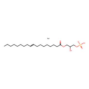 aladdin 阿拉丁 O130509 1-油酰基-2-羟基-sn-甘油-3-磷酸酯(钠盐) 325465-93-8 >99%