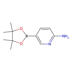 aladdin 阿拉丁 W137378 2-氨基吡啶-5-硼酸频哪醇酯 827614-64-2 97%