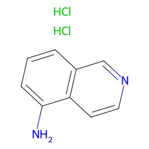 aladdin 阿拉丁 A136406 5-氨基异喹啉盐酸盐 58143-00-3 97%