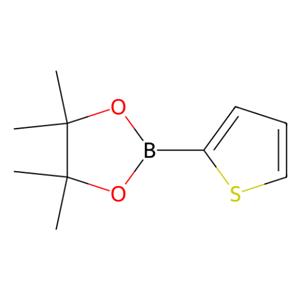 aladdin 阿拉丁 T120116 噻吩-2-硼酸频哪醇酯 193978-23-3 98%