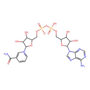 aladdin 阿拉丁 N111609 β-烟酰胺腺嘌呤二核苷酸(NAD) 53-84-9 97%