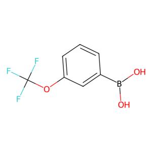 3-(三氟甲氧基)苯硼酸(含有数量不等的酸酐),3-(Trifluoromethoxy)phenylboronic Acid (contains varying amounts of Anhydride)