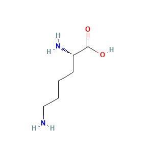 aladdin 阿拉丁 L103479 L-赖氨酸 56-87-1 98%