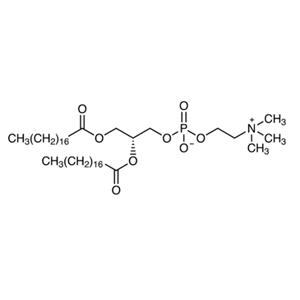 aladdin 阿拉丁 D130429 1,2-二硬脂酰基-sn-丙三基-3-磷酸胆碱 816-94-4 >99%