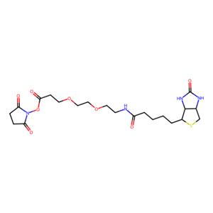 aladdin 阿拉丁 B122232 9-(生物素氨基)-4,7-二氧杂壬酸N-琥珀酰亚胺酯 596820-83-6 97%