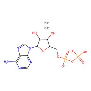 aladdin 阿拉丁 A107042 腺苷-5'-二磷酸钠盐 16178-48-6 >98.0%(N)
