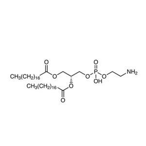 aladdin 阿拉丁 D130471 1,2-二硬脂酰基-sn-丙三基-3-磷脂酰乙醇胺(DSPE) 1069-79-0 >97%