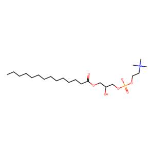 aladdin 阿拉丁 M130491 1-肉豆蔻基-2-羟基-sn-甘油-3-磷酸胆碱 20559-16-4 >99%