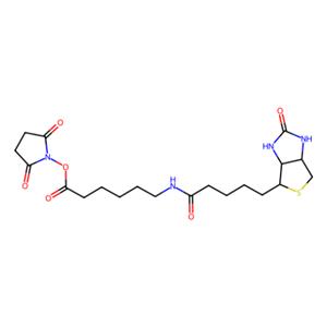 aladdin 阿拉丁 S122223 N-琥珀酰亚氨基6-生物素氨己酸 72040-63-2 98%