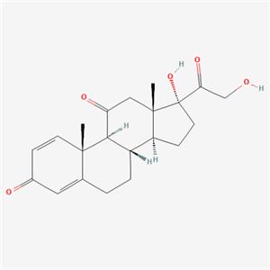 强的松,Prednisone