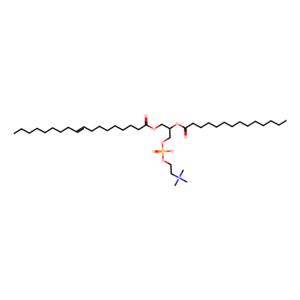 1-油酰基-2-肉豆蔻酰基-sn-甘油-3-磷酸胆碱,1-oleoyl-2-myristoyl-sn-glycero-3-phosphocholine