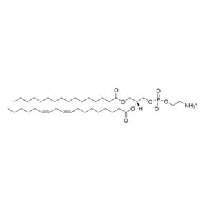 L-α-磷脂酰乙醇胺(大豆),L-α-phosphatidylethanolamine (Soy)