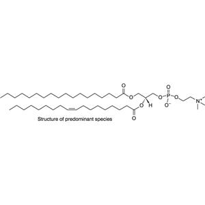 L-α-磷脂酰胆碱(牛肝),L-α-phosphatidylcholine (Liver, Bovine)