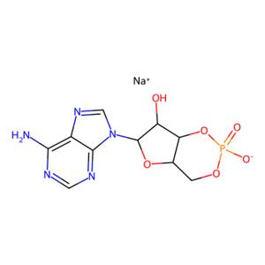 aladdin 阿拉丁 A122959 腺苷-3',5'-环状单磷酸钠水合物 37839-81-9 99%