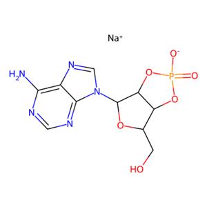 腺苷2′:3′-循环磷酸钠盐,Adenosine 2′:3′-cyclic monophosphate sodium salt
