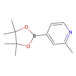 2-甲基吡啶-4-硼酸频哪酯,2-Methylpyridine-4-boronic acid pinacol ester