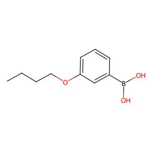 3-丁氧基苯硼酸,3-Butoxyphenylboronic acid