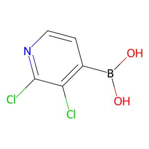 aladdin 阿拉丁 D118367 2,3-二氯吡啶-4-硼酸 (含不同量的酸酐) 951677-39-7 95%