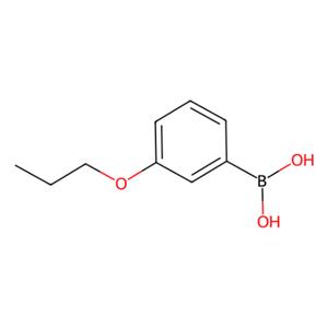 aladdin 阿拉丁 P120021 3-丙氧基苯基硼酸 149557-18-6 98%