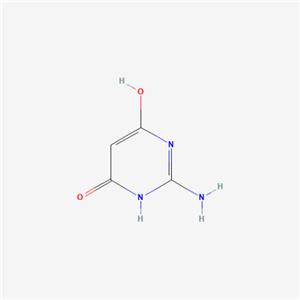 2-氨基-4,6-二羟基嘧啶,2-Amino-4,6-dihydroxypyrimidine