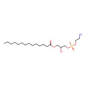 1-肉豆蔻基-2-羟基-sn-甘油-3-磷酸乙醇胺,1-myristoyl-2-hydroxy-sn-glycero-3-phosphoethanolamine