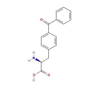 aladdin 阿拉丁 B132979 4-苯甲酰基-L-苯基丙氨酸 104504-45-2 95%