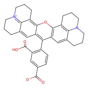 5-ROX [5-羧基-X-罗丹明],5-ROX [5-Carboxy-X-rhodamine]