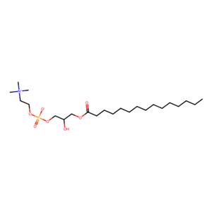 1-戊二酰基-2-羟基-sn-甘油-3-磷酸胆碱,1-pentadecanoyl-2-hydroxy-sn-glycero-3-phosphocholine