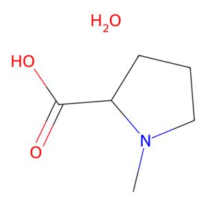aladdin 阿拉丁 M101560 N-甲基-L-脯氨酸,一水 199917-42-5 98%