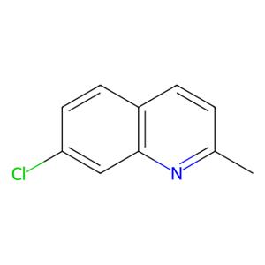 aladdin 阿拉丁 C103602 7-氯喹哪啶 4965-33-7 99%