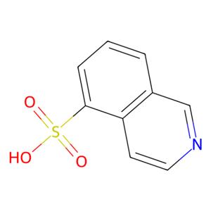 aladdin 阿拉丁 I107863 异喹啉-5-磺酸 27655-40-9 95%
